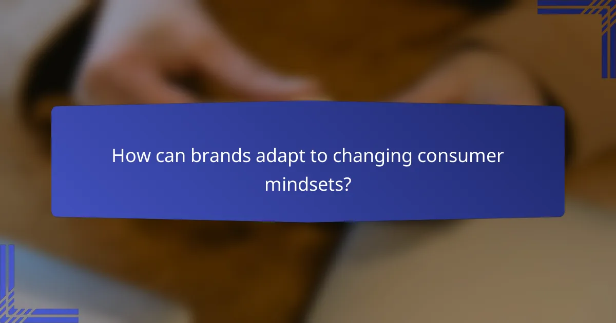 How can brands adapt to changing consumer mindsets?