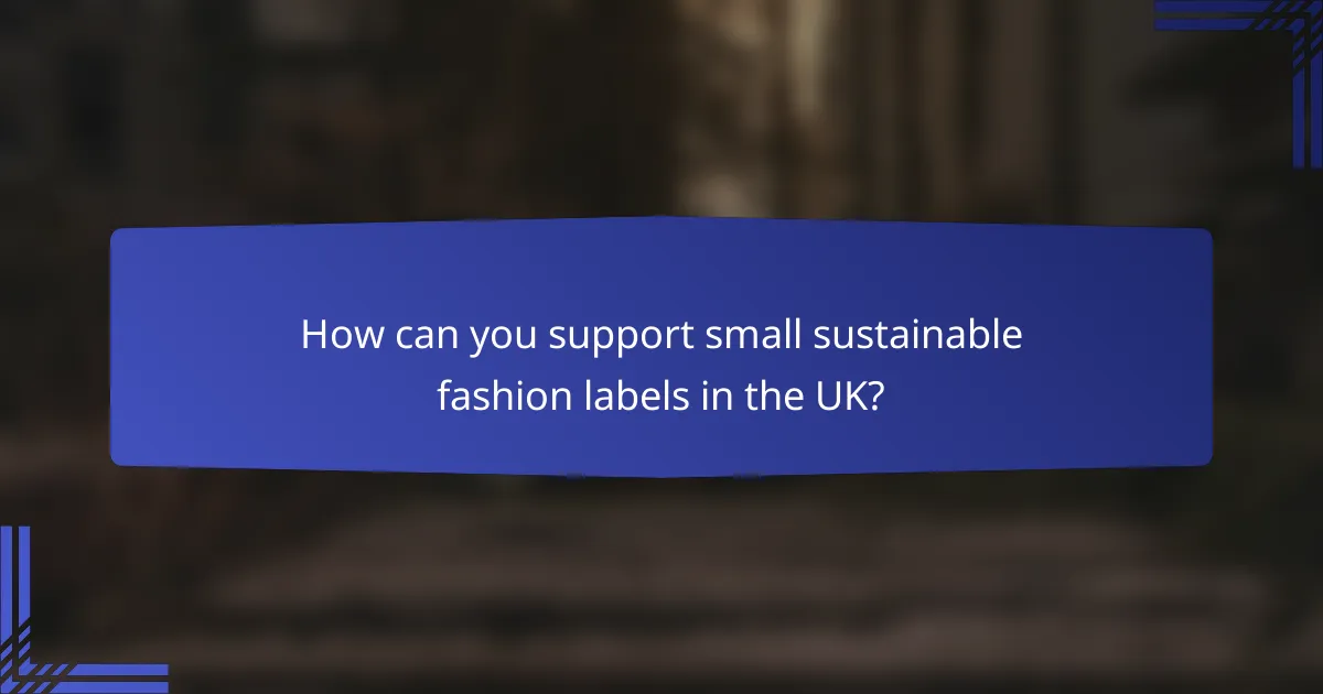 How can you support small sustainable fashion labels in the UK?