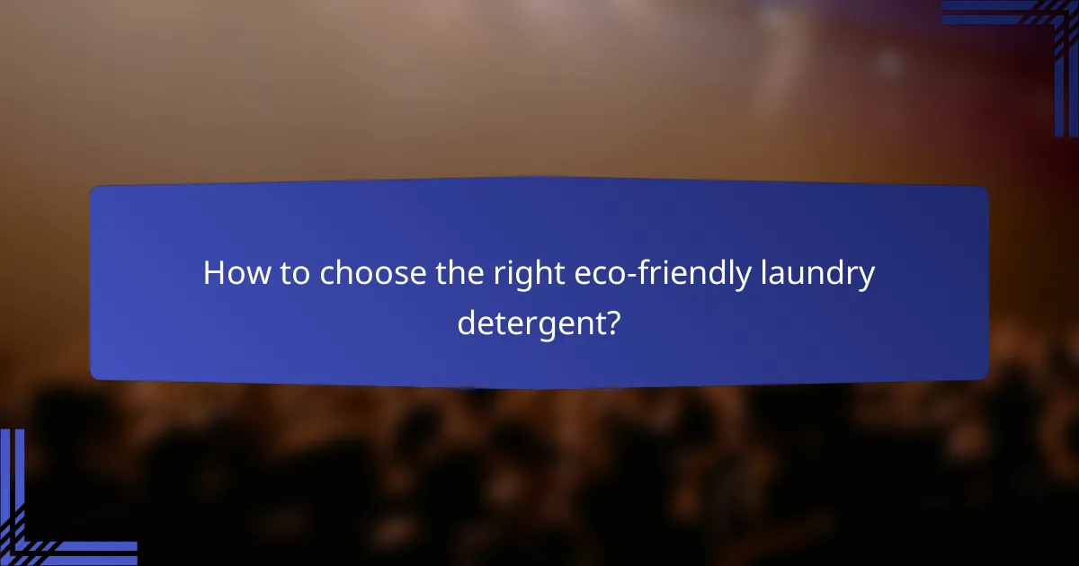 How to choose the right eco-friendly laundry detergent?