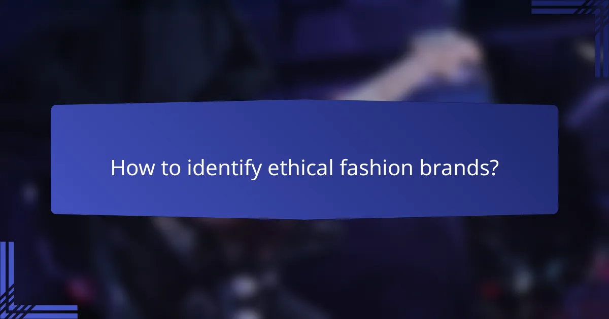 How to identify ethical fashion brands?