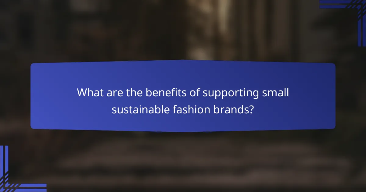 What are the benefits of supporting small sustainable fashion brands?