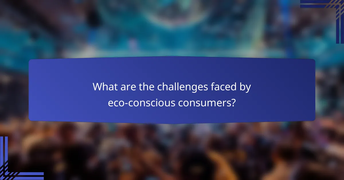 What are the challenges faced by eco-conscious consumers?