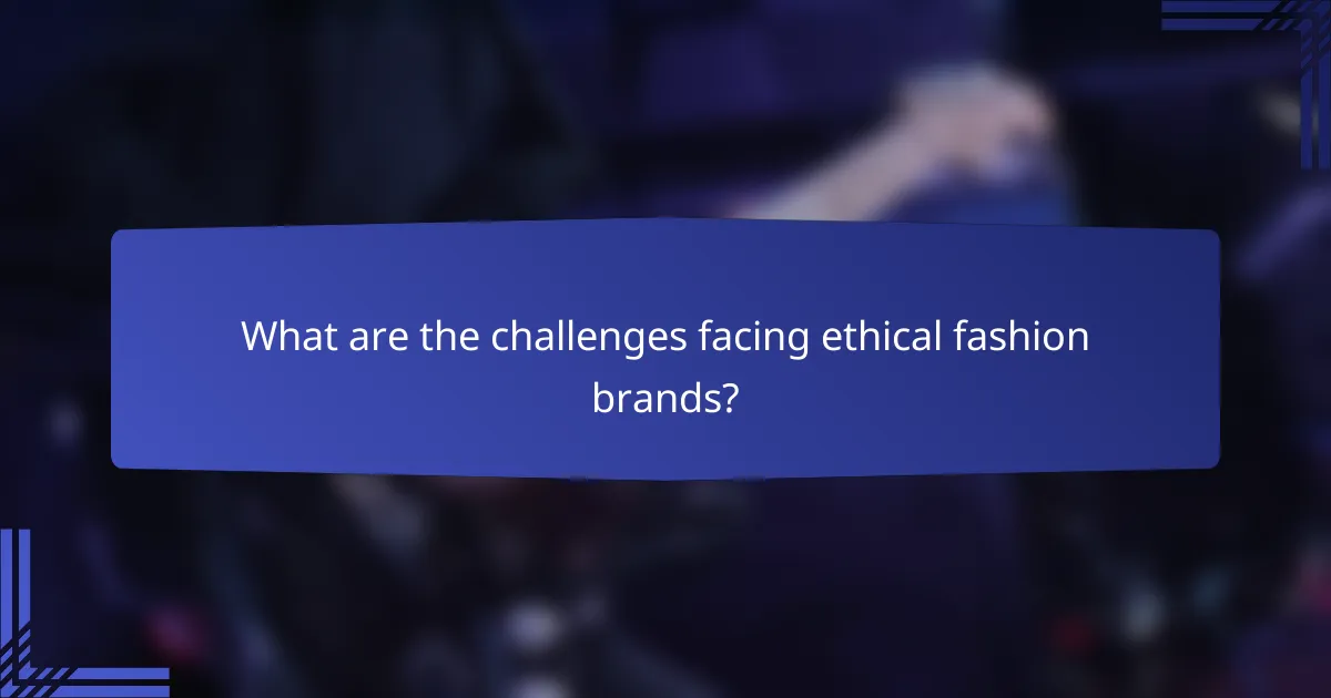 What are the challenges facing ethical fashion brands?