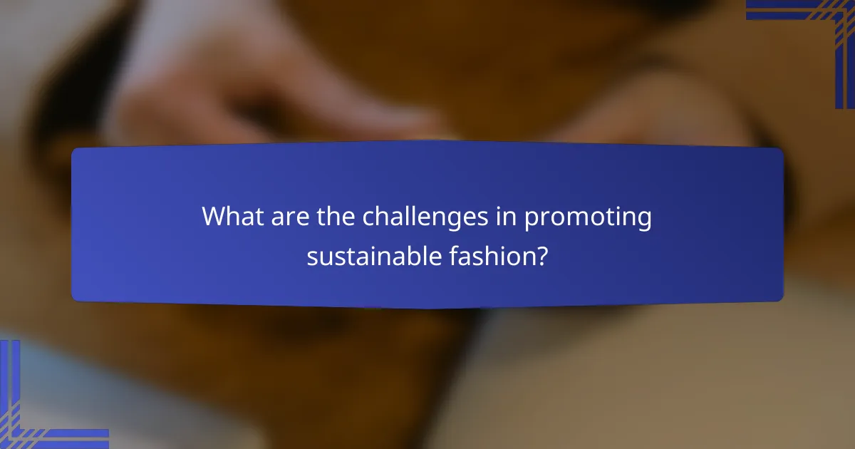 What are the challenges in promoting sustainable fashion?