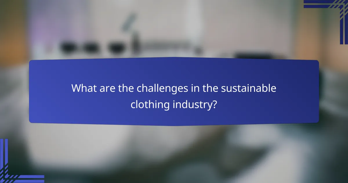 What are the challenges in the sustainable clothing industry?