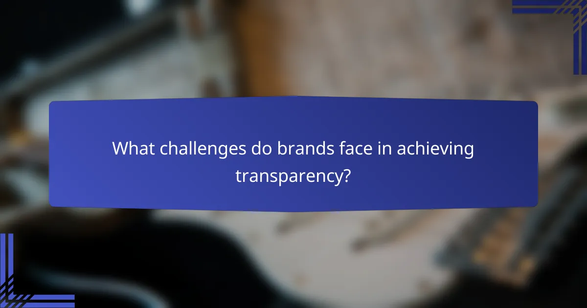 What challenges do brands face in achieving transparency?