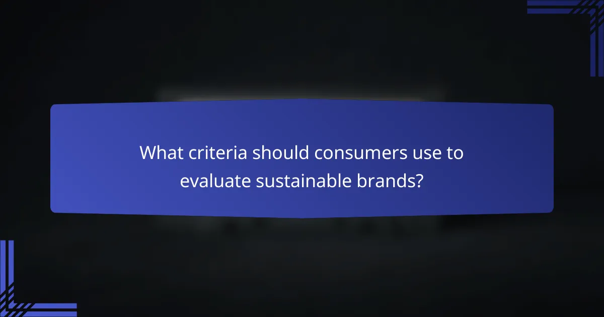 What criteria should consumers use to evaluate sustainable brands?