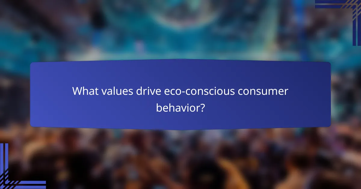 What values drive eco-conscious consumer behavior?