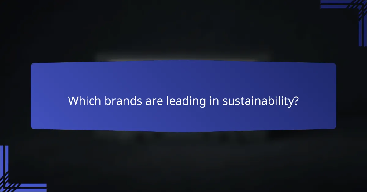Which brands are leading in sustainability?